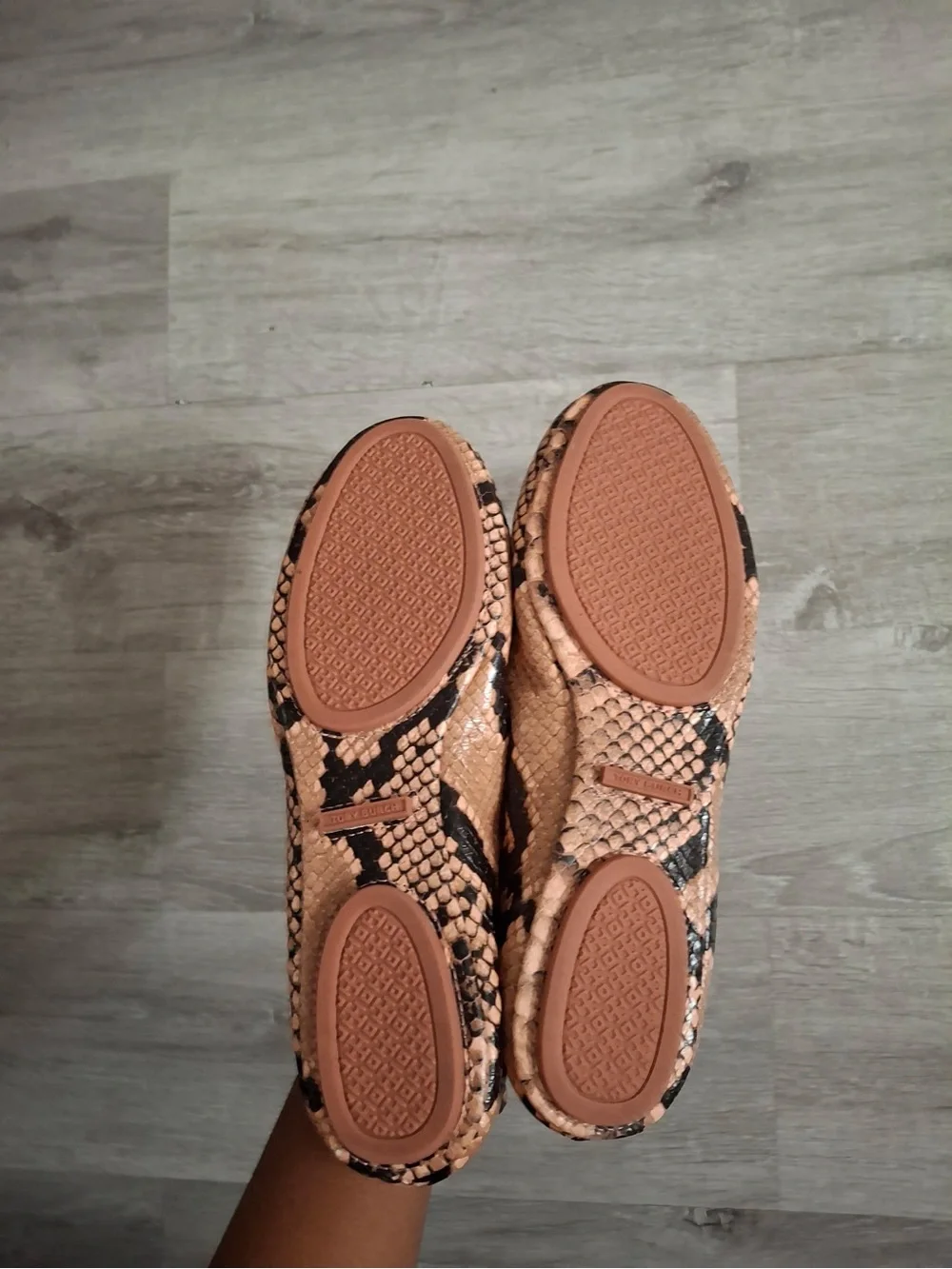 Tory Burch Snake-Print Ballet Flats in Tan and Black size 6